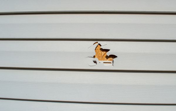 Cost of Siding Hole Patching in Woodinville